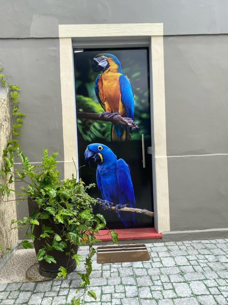 Aldeia Hostel II Manaus Zewnętrze zdjęcie